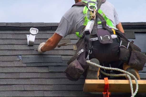 Best Shingle Roofing Installation  in Chesaning, MI