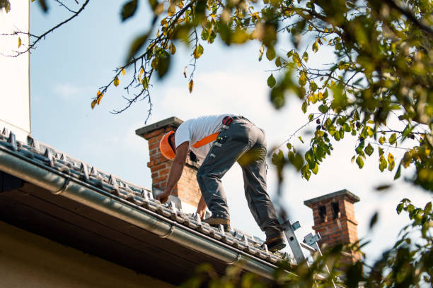 Best Local Roofing Companies  in Chesaning, MI