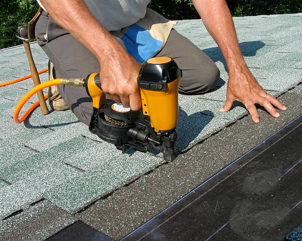 Best Roof Repair Services  in Chesaning, MI