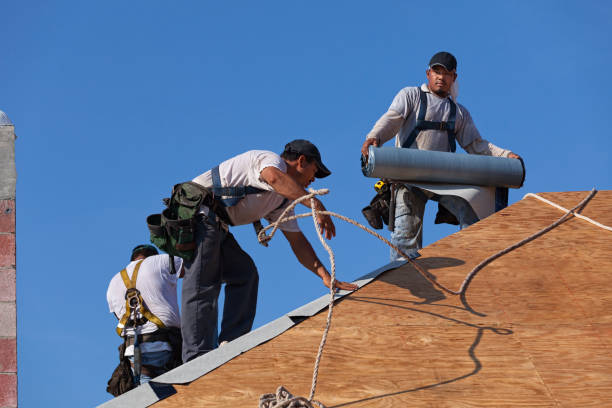 Best Gutter Installation and Roofing  in Chesaning, MI