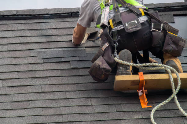 Best Storm Damage Roof Repair  in Chesaning, MI