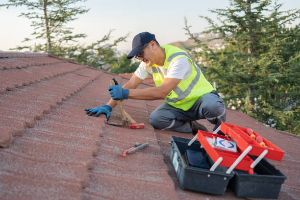 Best Commercial Roofing Services  in Chesaning, MI