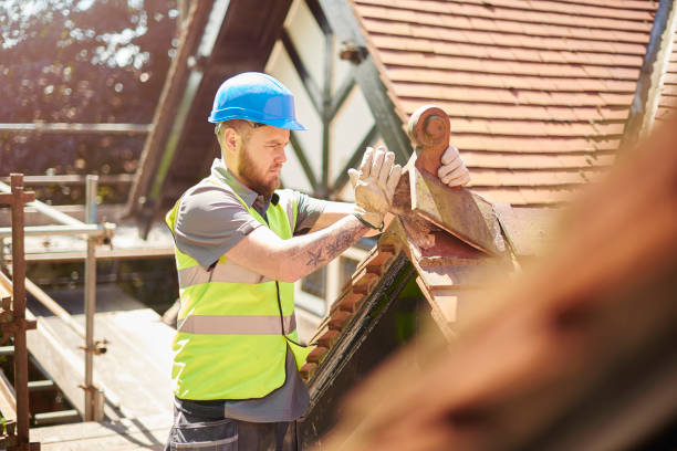 Best Roof Leak Repair  in Chesaning, MI