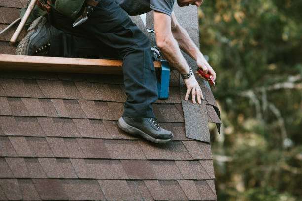 Best Roof Waterproofing Services  in Chesaning, MI